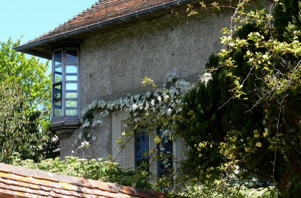 Bois des Moutiers (161) Mai 2012